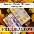 Leopard Miracle Of Honey Instructions new12